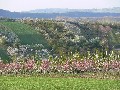 Розовая долина (Бургундия)
Фото Эдит Лунес